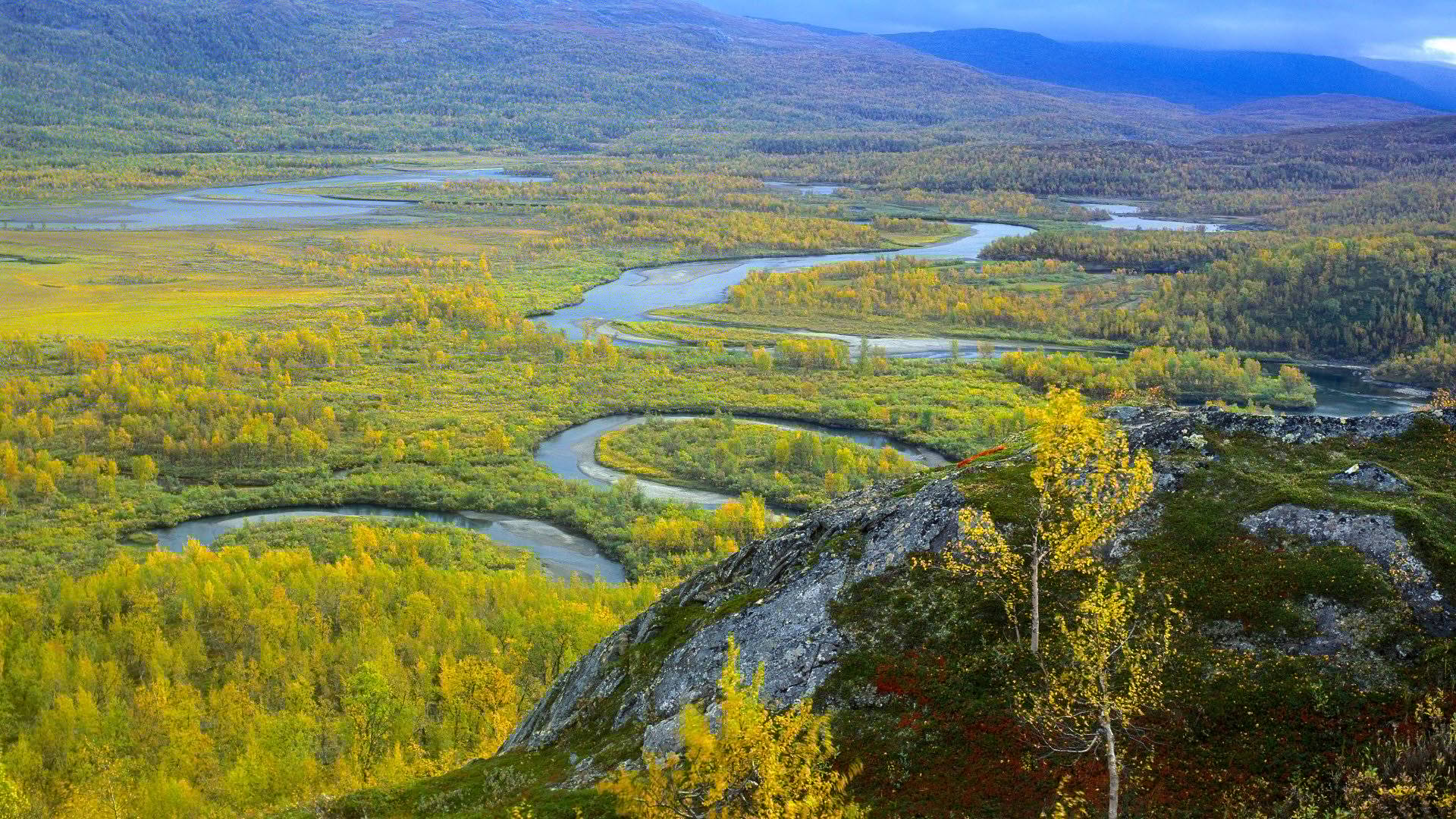 Vy över deltalandskap med meandrande vattendrag och fjäll i bakgrunden. Vadvetjåkka nationalpark.