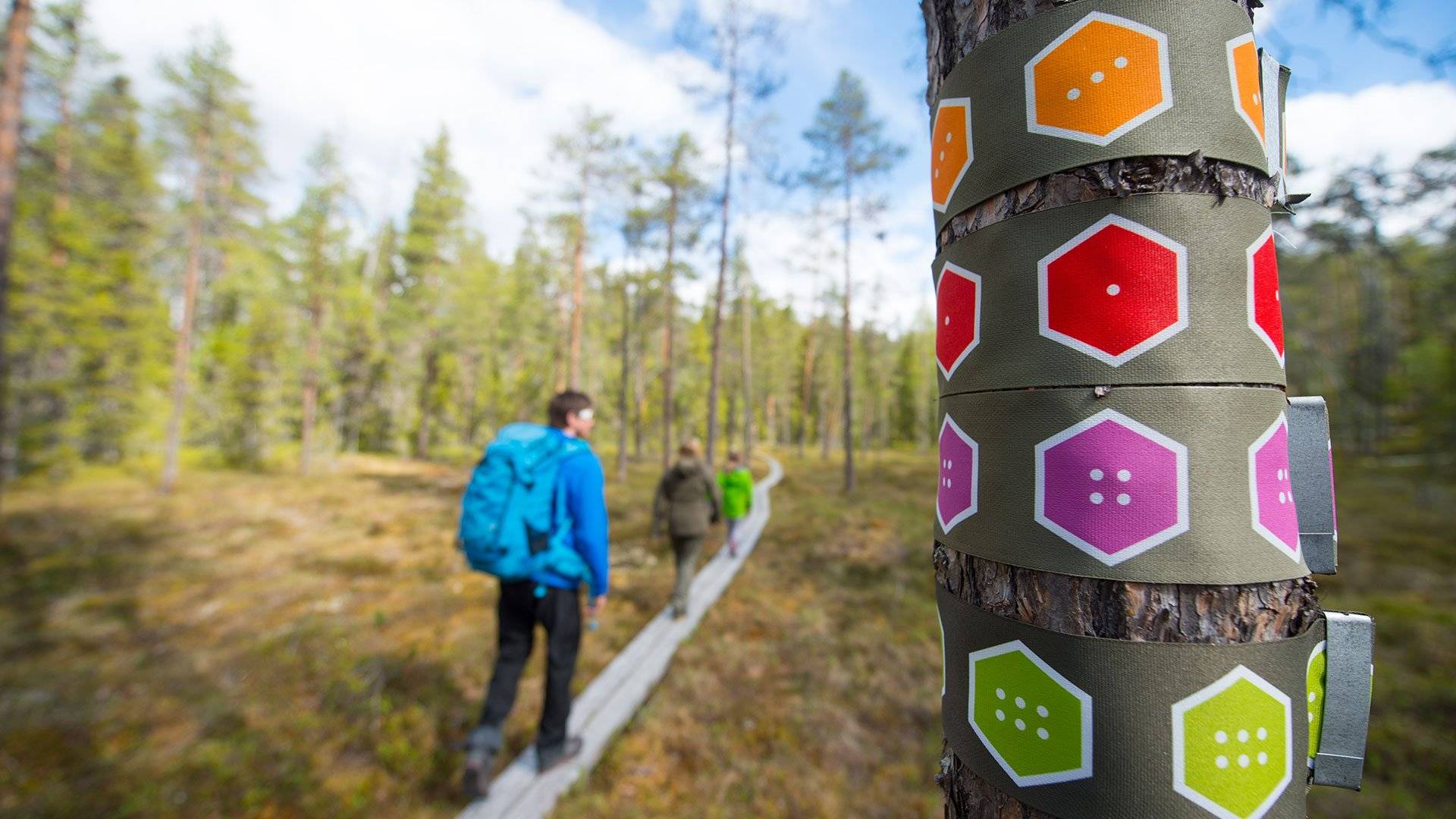 Ledmarkeringar på ett träd i förgrunden och personer som vandrar på en spång. 