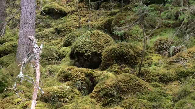 Stenblock i brant sluttning