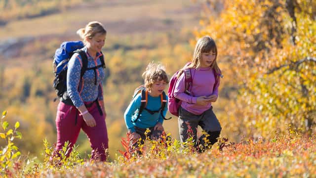 Kvinna och två barn fjällvandrar, Åre, Jämtland.