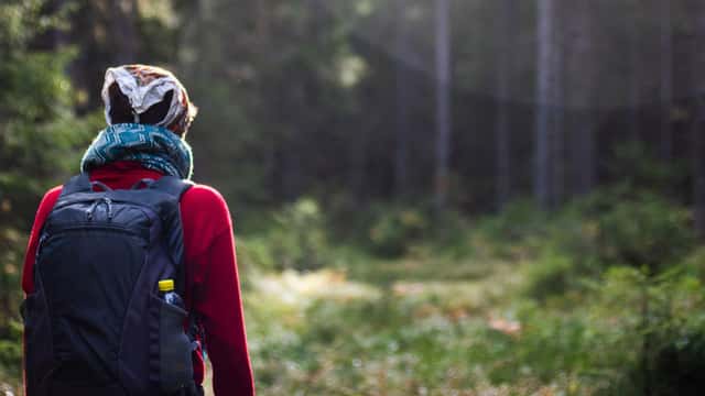 En kvinna som vandrar i en sommarskog, Mora, Dalarna.